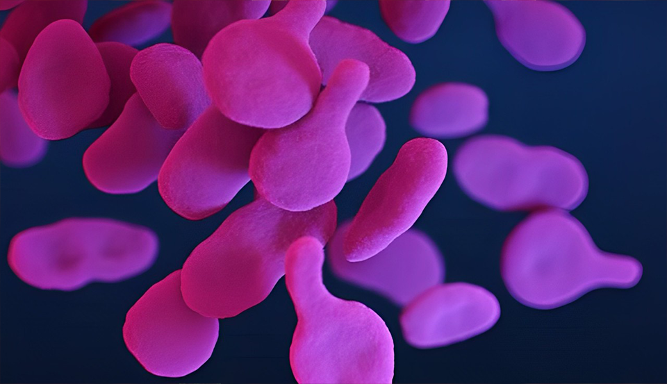Mycoplasma Pneumoniae