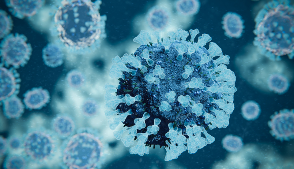 Parainfluenza